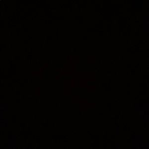 Meet your Posher, Jamil